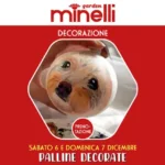 Palline decorate