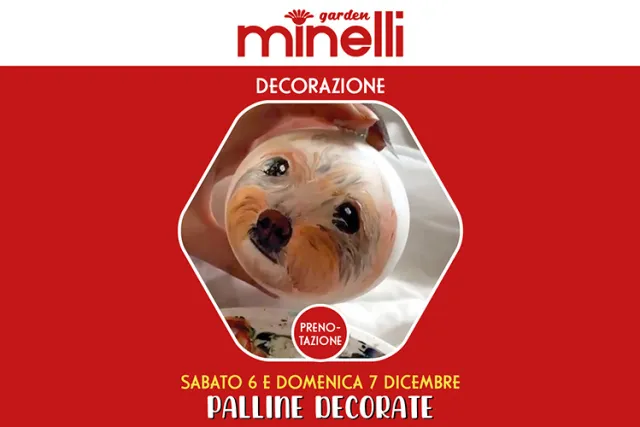 Palline decorate