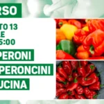 I peperoni e peperoncini in cucina