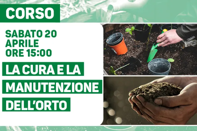 La cura e la manutenzione dell’orto