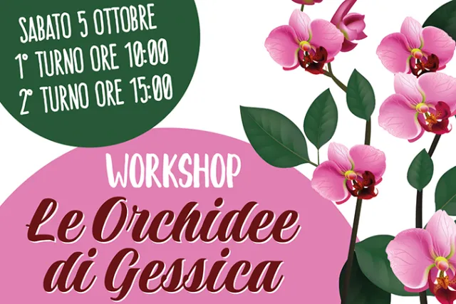 LE ORCHIDEE DI GESSICA