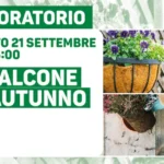 Il balcone in autunno