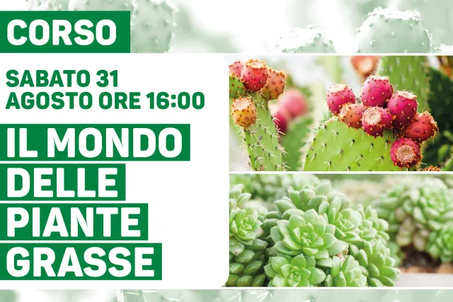 Il mondo delle Piante Grasse