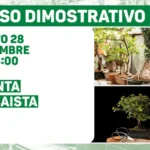 L’AUTUNNO IN CASA: DALLE PIANTE ALLE TISANE