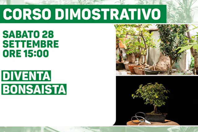 L’AUTUNNO IN CASA: DALLE PIANTE ALLE TISANE