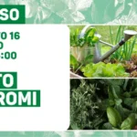 I frutti migliori per le confetture fatte in casa