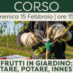 Frutti in Giardino: Piantare, Potare, Innestare