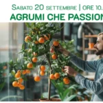 AGRUMI CHE PASSIONE