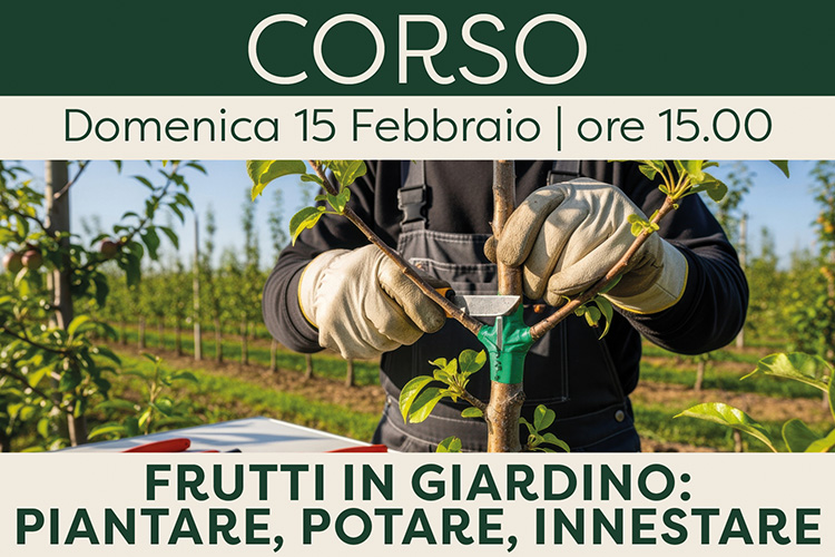 Frutti in Giardino: Piantare, Potare, Innestare