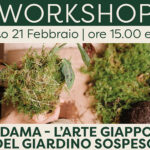 Workshop Kokedama – L’arte giapponese del giardino sospeso (Primo turno)