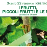 I FRUTTI, i PICCOLI FRUTTI e le ROSE – potatura e innesti