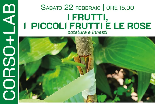 I FRUTTI, i PICCOLI FRUTTI e le ROSE – potatura e innesti