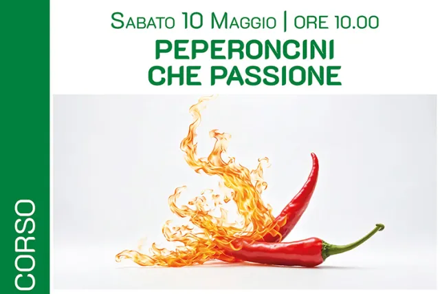 PEPERONCINI CHE PASSIONE