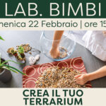 Laboratorio per bambini – “Crea il tuo Terrarium”