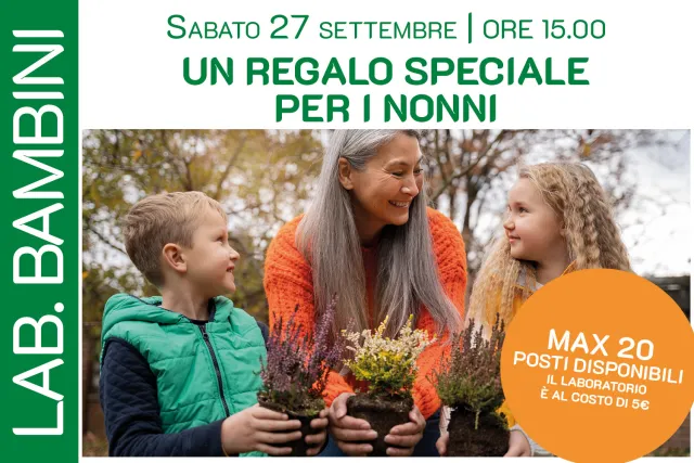 UN REGALO SPECIALE PER I NONNI