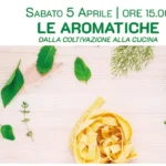 LE AROMATICHE