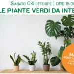 LE PIANTE VERDI DA INTERNO