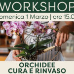 Workshop Orchidee – Cura e Rinvaso