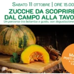 ZUCCHE DA SCOPRIRE: DAL CAMPO ALLA TAVOLA