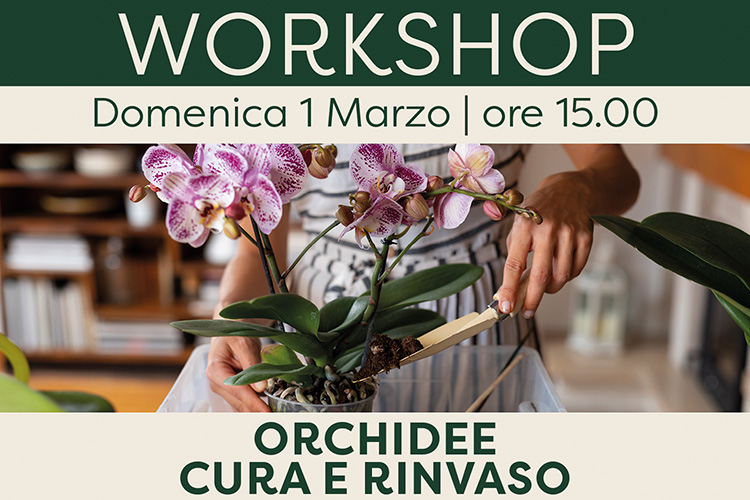 Workshop Orchidee – Cura e Rinvaso
