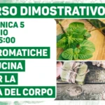 Le aromatiche in cucina e per la cura del corpo