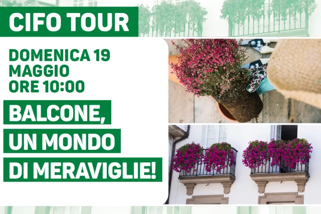 Balcone, un mondo di meraviglie!