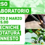 Le tecniche di potatura e d’innesto