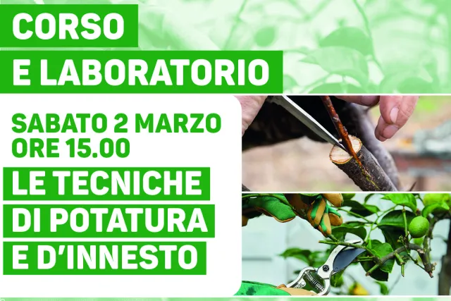 Le tecniche di potatura e d’innesto