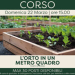 L’orto in un metro quadro (corso)