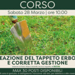 Creazione del tappeto erboso e corretta gestione (corso) 