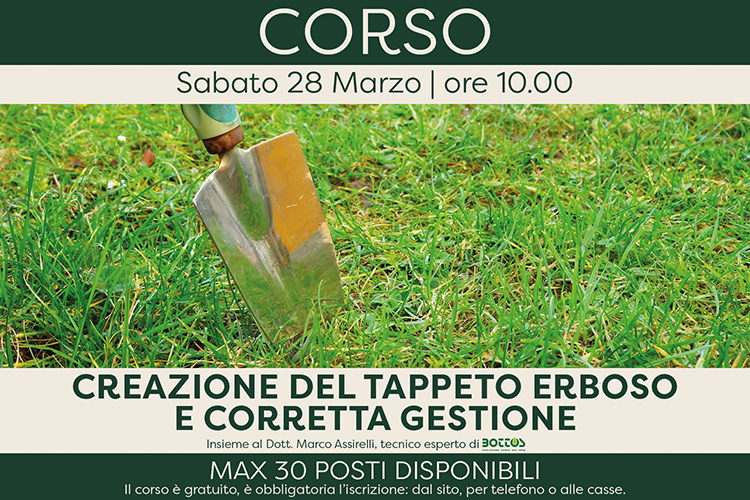 Creazione del tappeto erboso e corretta gestione (corso) 