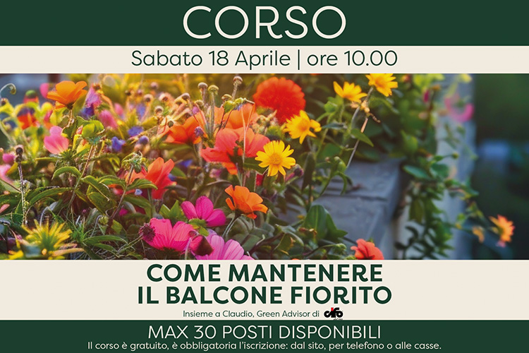 Come mantenere il balcone fiorito (Corso)