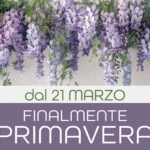 Finalmente primavera! 