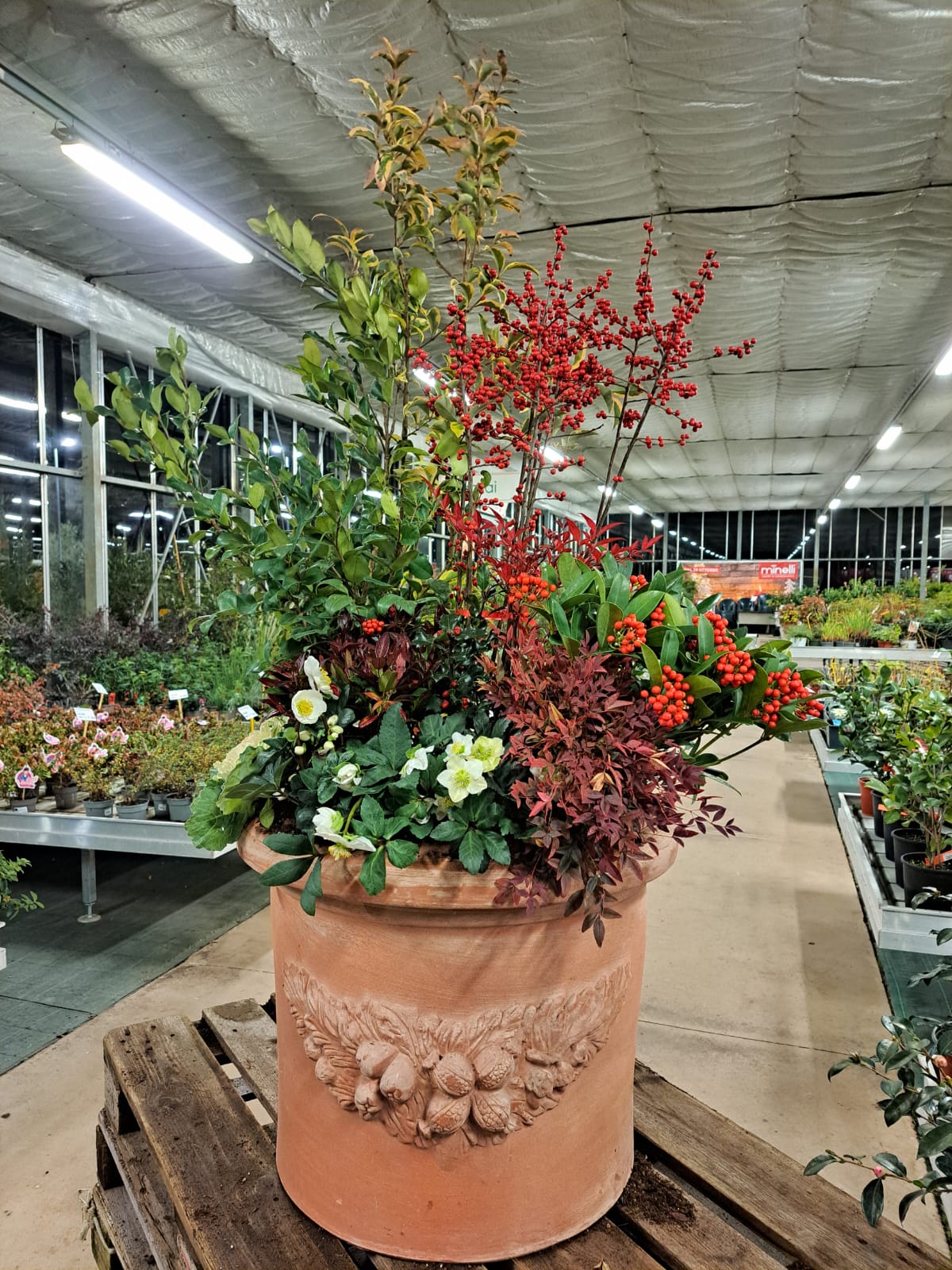 composizioni da esterno