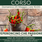 Peperoncino che passione!