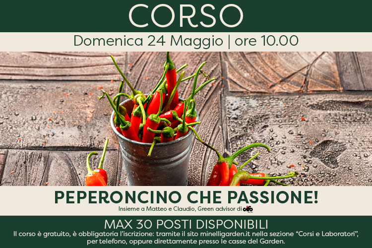 Peperoncino che passione!