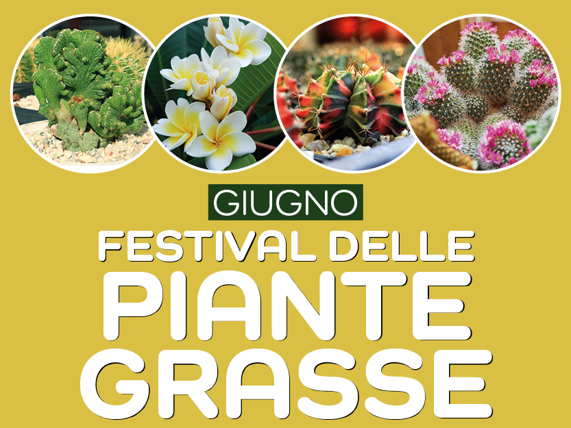 Il festival delle piante grasse
