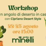 Un angolo di deserto in casa