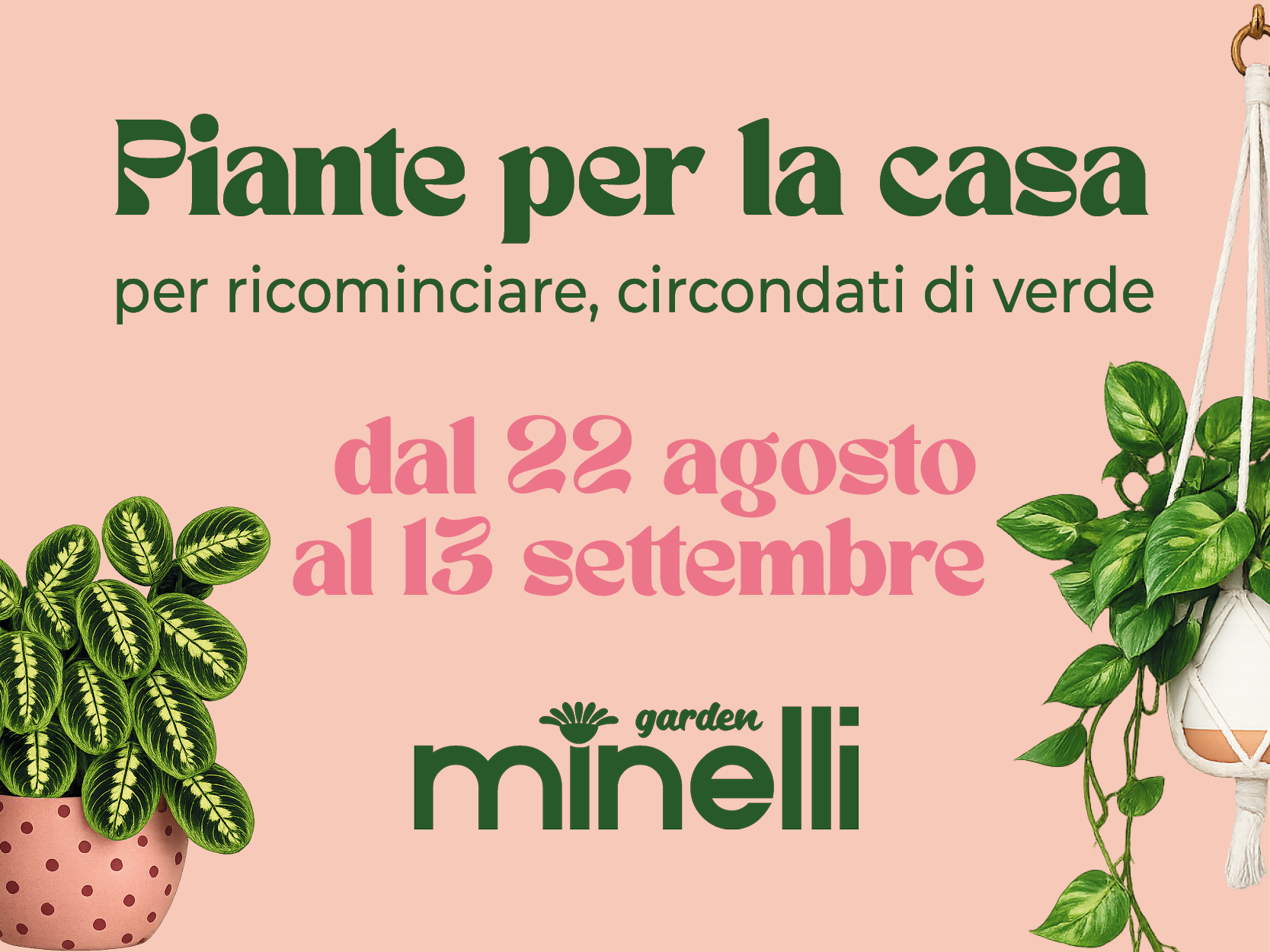 Piante per la casa