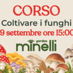 coltivare i funghi in casa