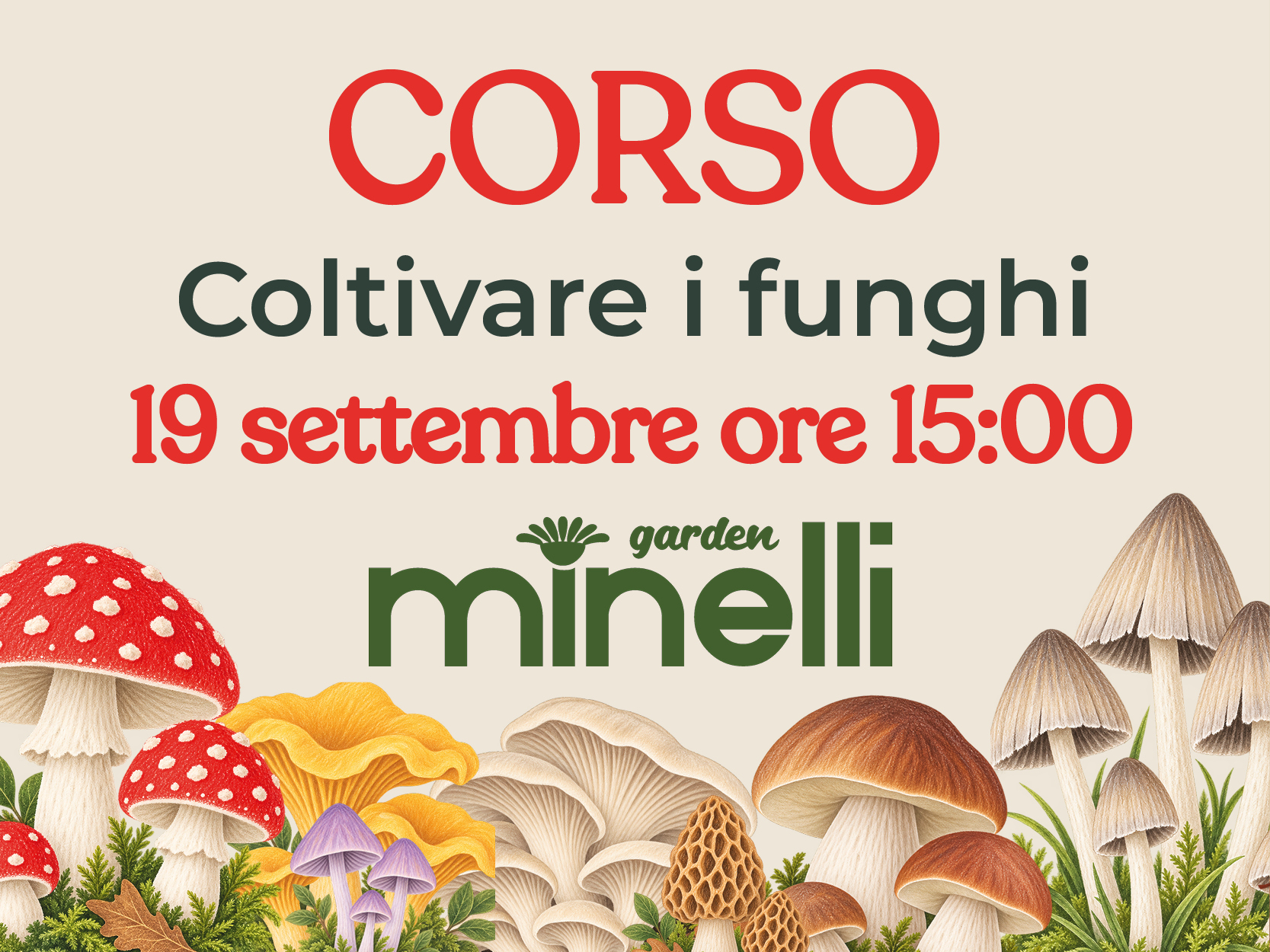 coltivare i funghi in casa