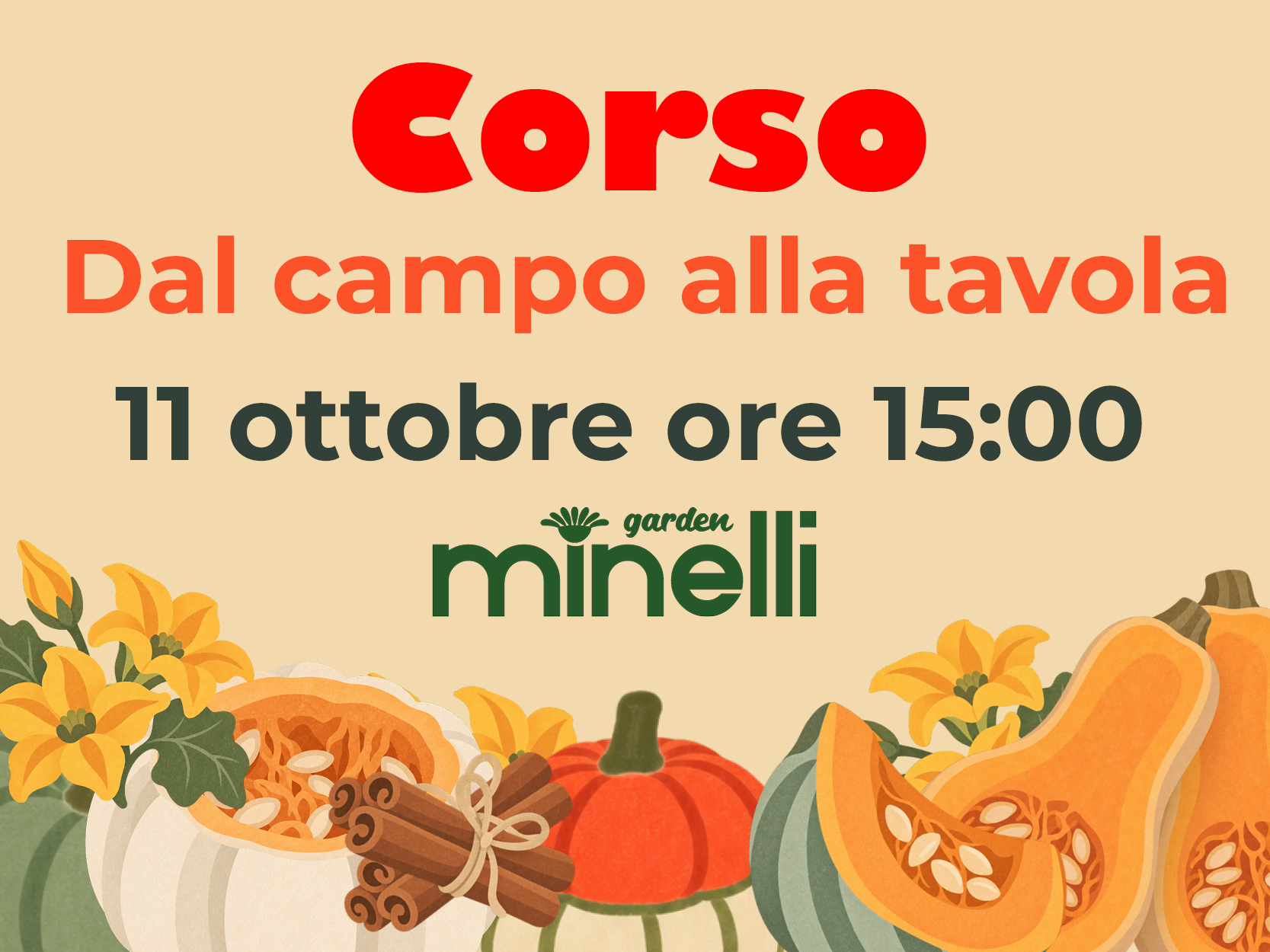 Zucche da Scoprire: dal Campo alla Tavola